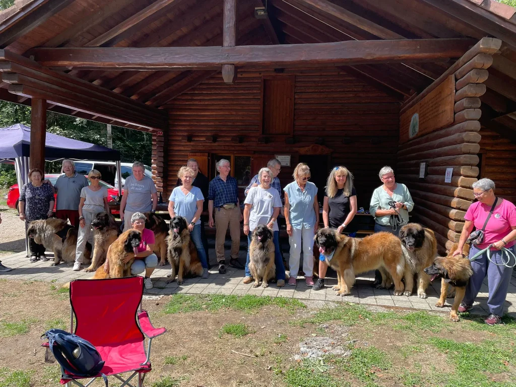 Journée à la cabane forestière de Vuarmarens – 29.08.2026